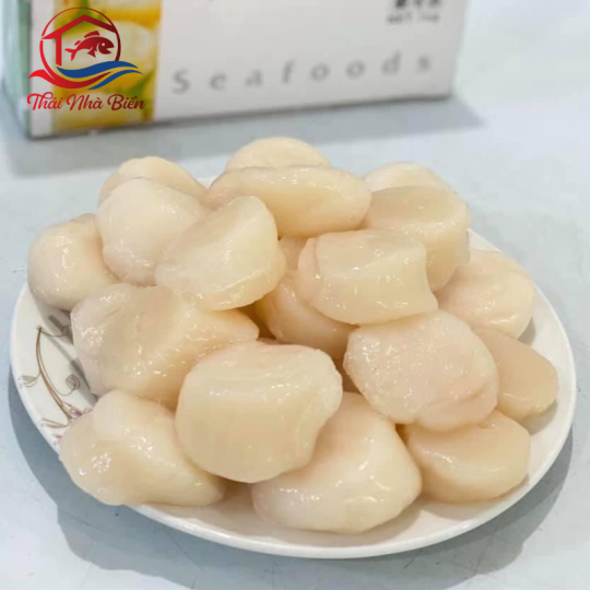 CỒI SÒ ĐIỆP TO