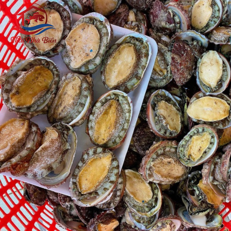 BÀO NGƯ VIỆT NAM