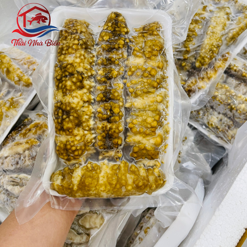 HẢI SÂM 
