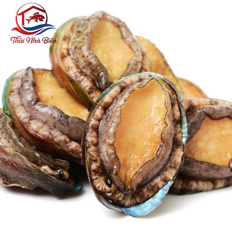 BÀO NGƯ NHẬP