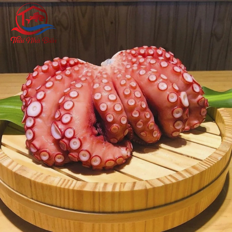 BẠCH TUỘC ĐỎ