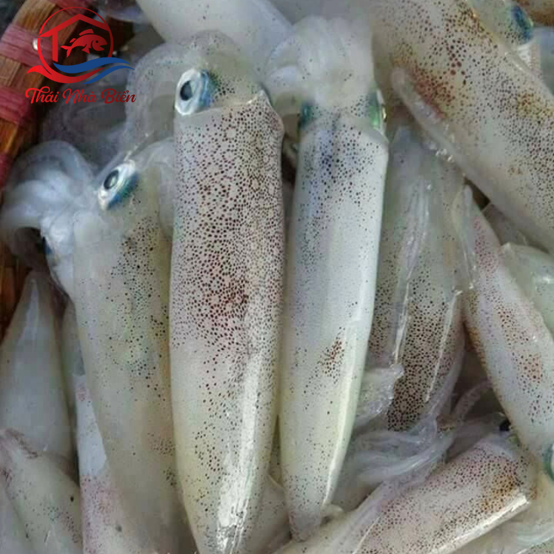 MỰC NHÁY