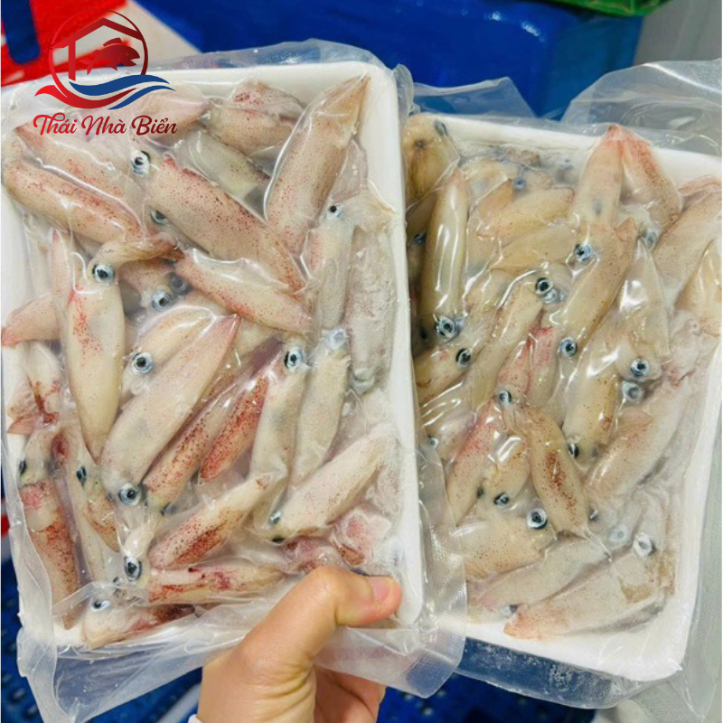 MỰC SỮA NHÍ